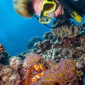 Meet your Posher, Tammy